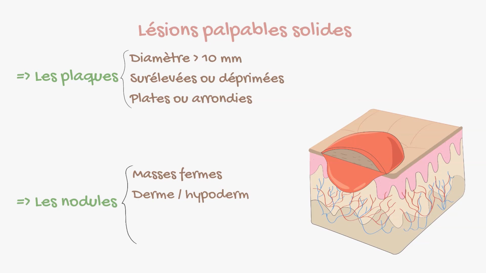 Lésions élémentaires en dermatologie Meducol